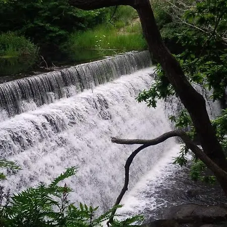 Alen Do Mis - Rural * 福斯