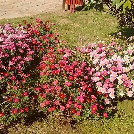 乡村民宿 Alen Do Mis - Rural 福斯