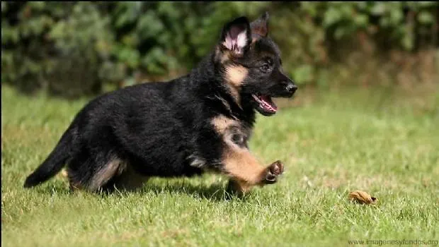 Alen Do Mis - Rural Εξοχικό σπίτι Foz