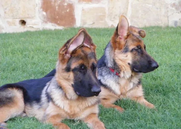 Εξοχικό σπίτι Alen Do Mis - Rural