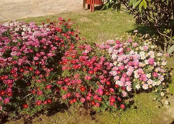 Εξοχικό σπίτι Alen Do Mis - Rural Foz